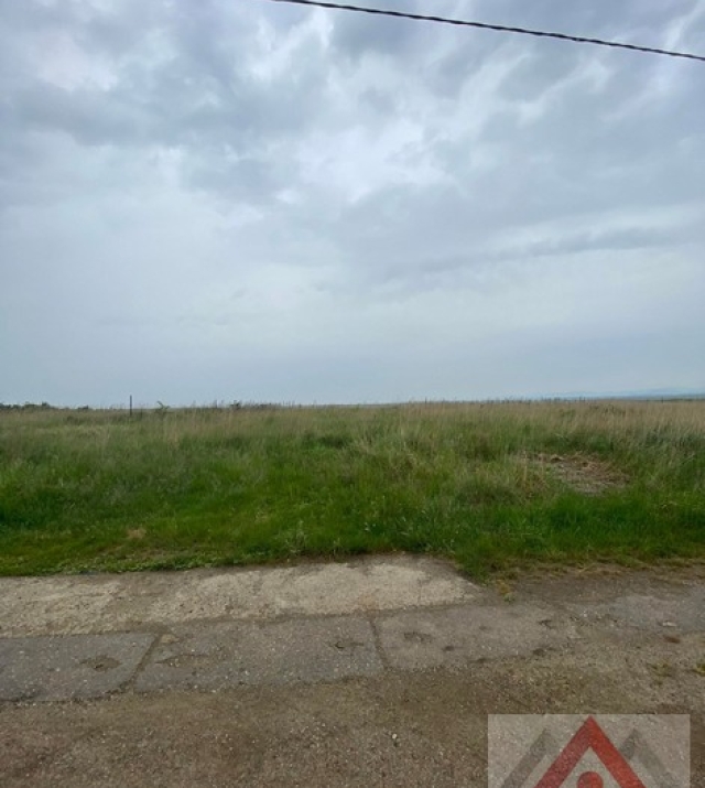 a1050-IntravilanViileSatu Mare04.JPG